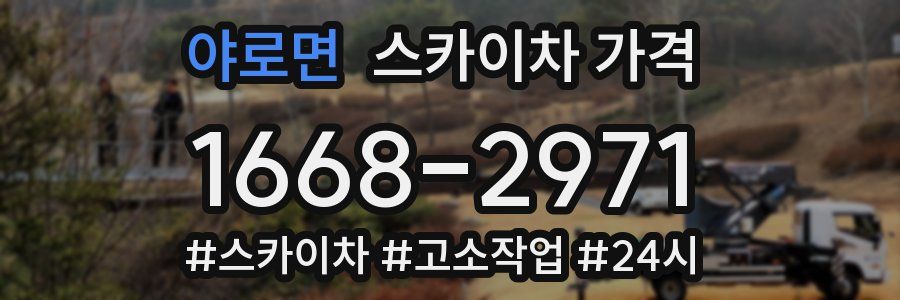 야로면 스카이차 가격