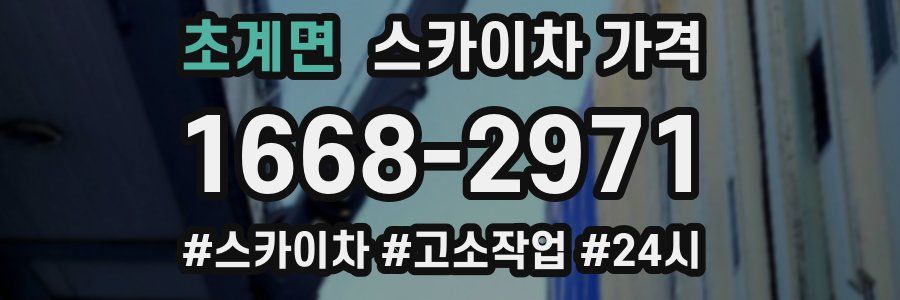 초계면 스카이차 가격