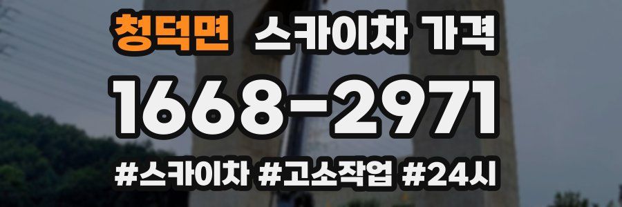 청덕면 스카이차 가격