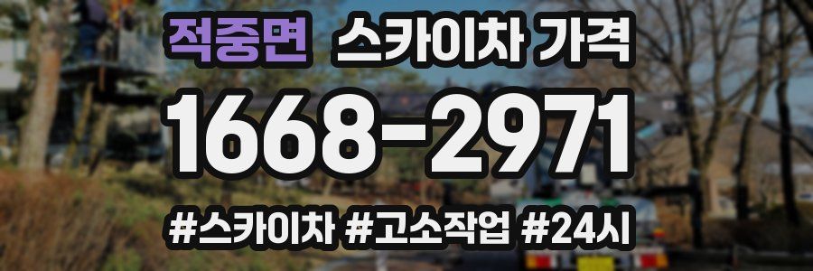 적중면 스카이차 가격