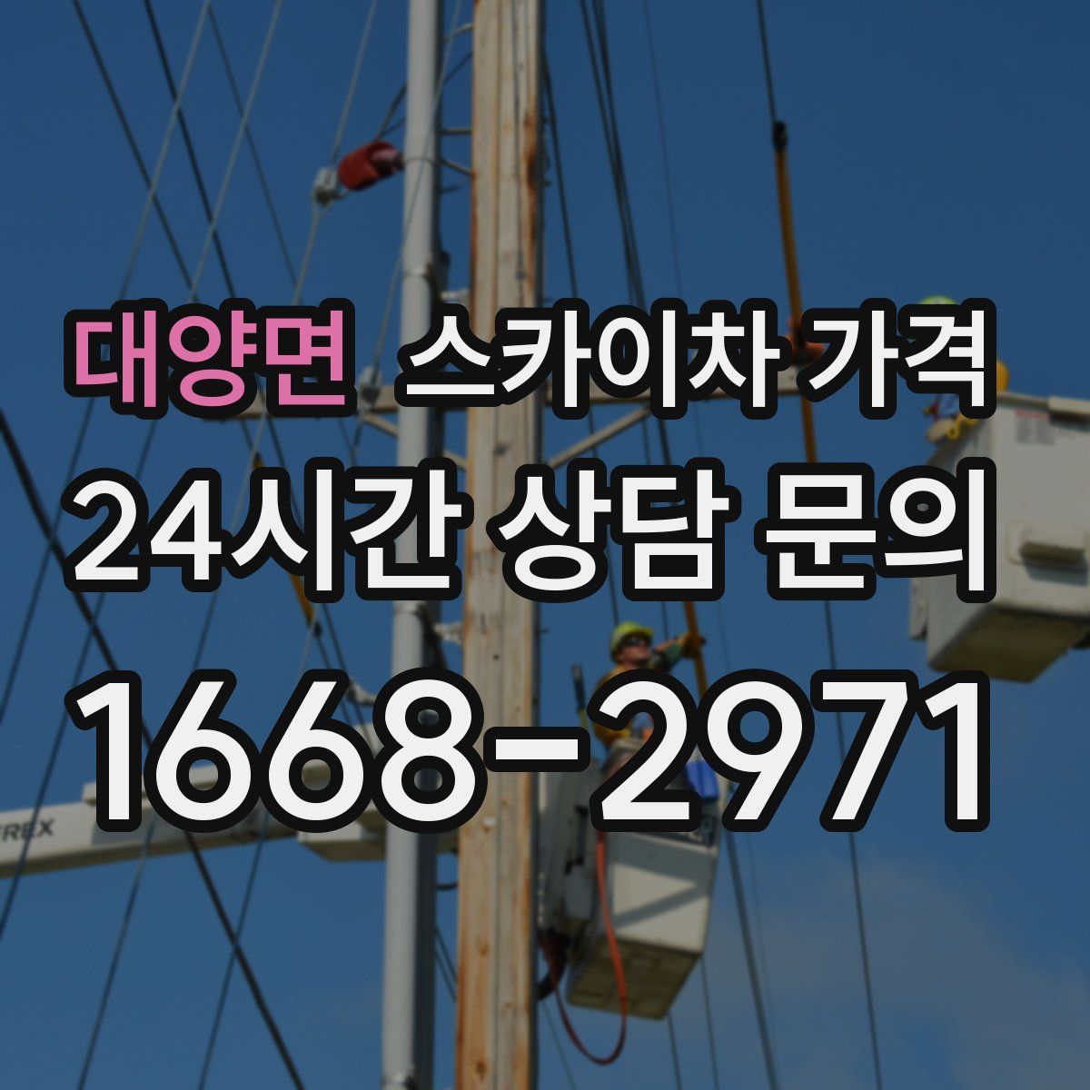 대양면 스카이차 가격