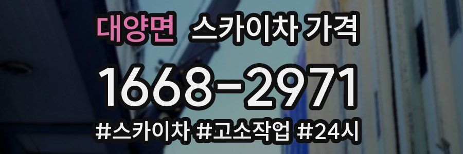 대양면 스카이차 가격