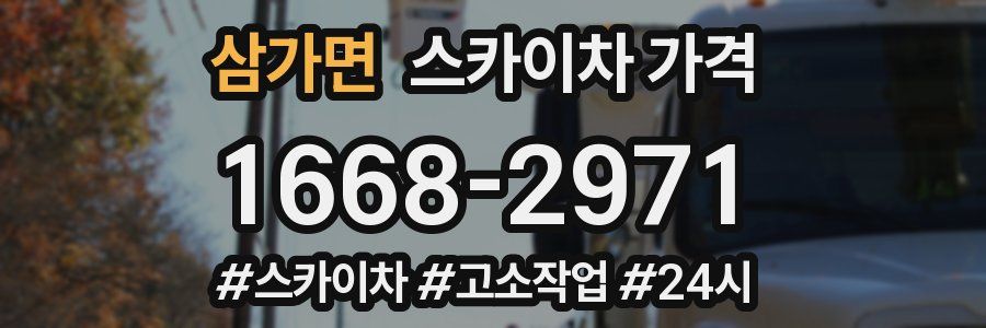 삼가면 스카이차 가격