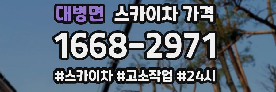 대병면 스카이차 가격