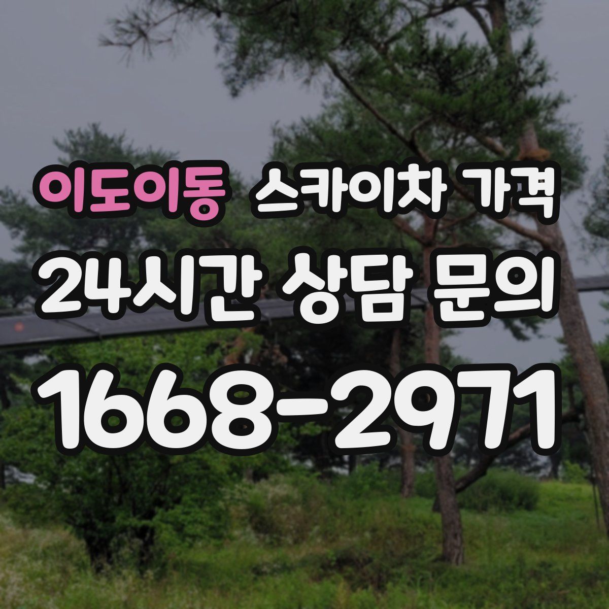 이도이동 스카이차 가격