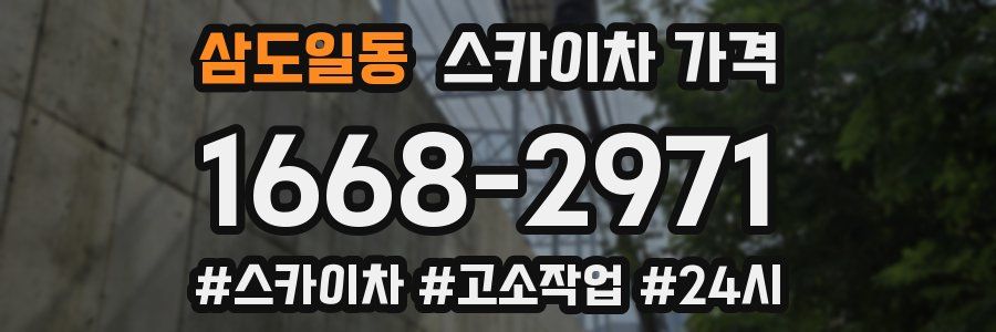 삼도일동 스카이차 가격