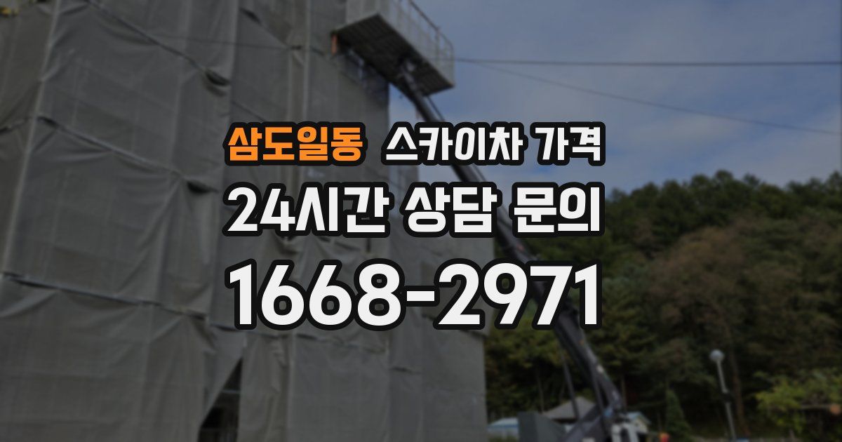 삼도일동 스카이차 가격
