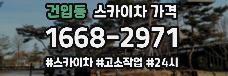 건입동 스카이차 가격