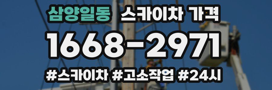 삼양일동 스카이차 가격