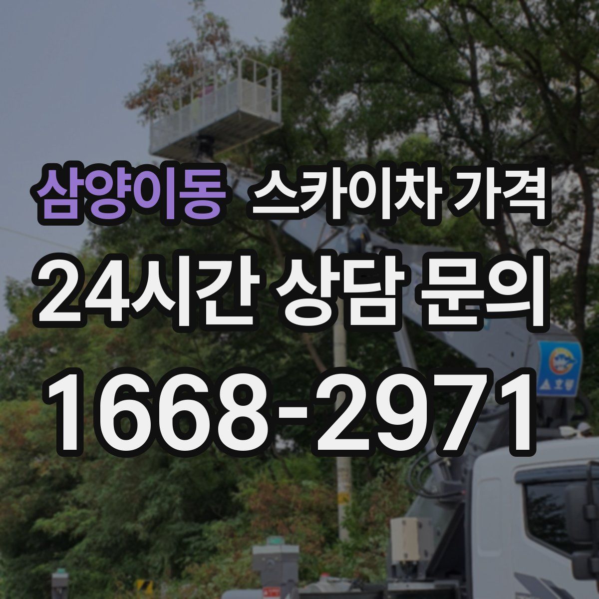 삼양이동 스카이차 가격