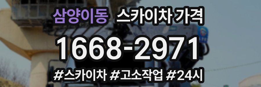 삼양이동 스카이차 가격