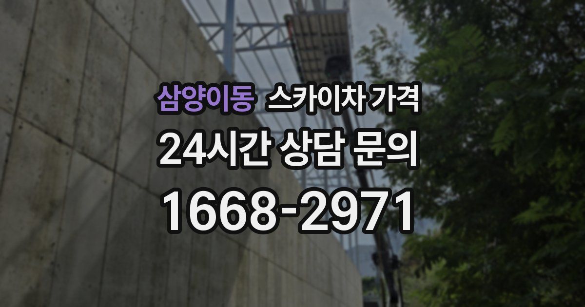 삼양이동 스카이차 가격
