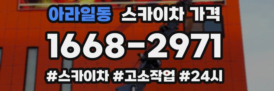 아라일동 스카이차 가격