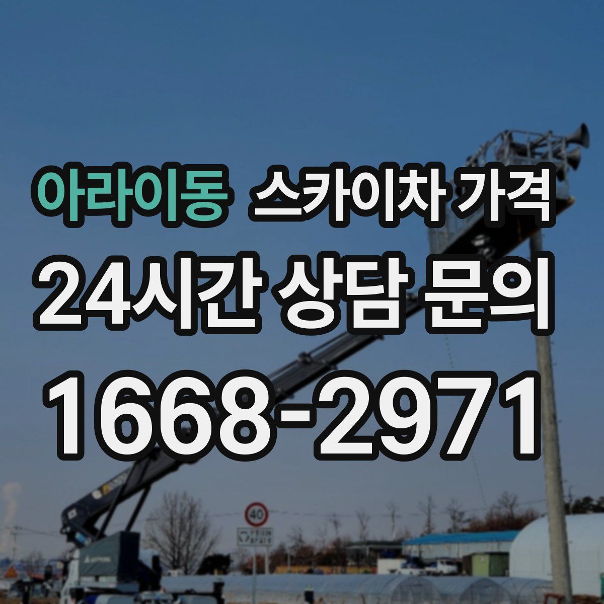 아라이동 스카이차 가격