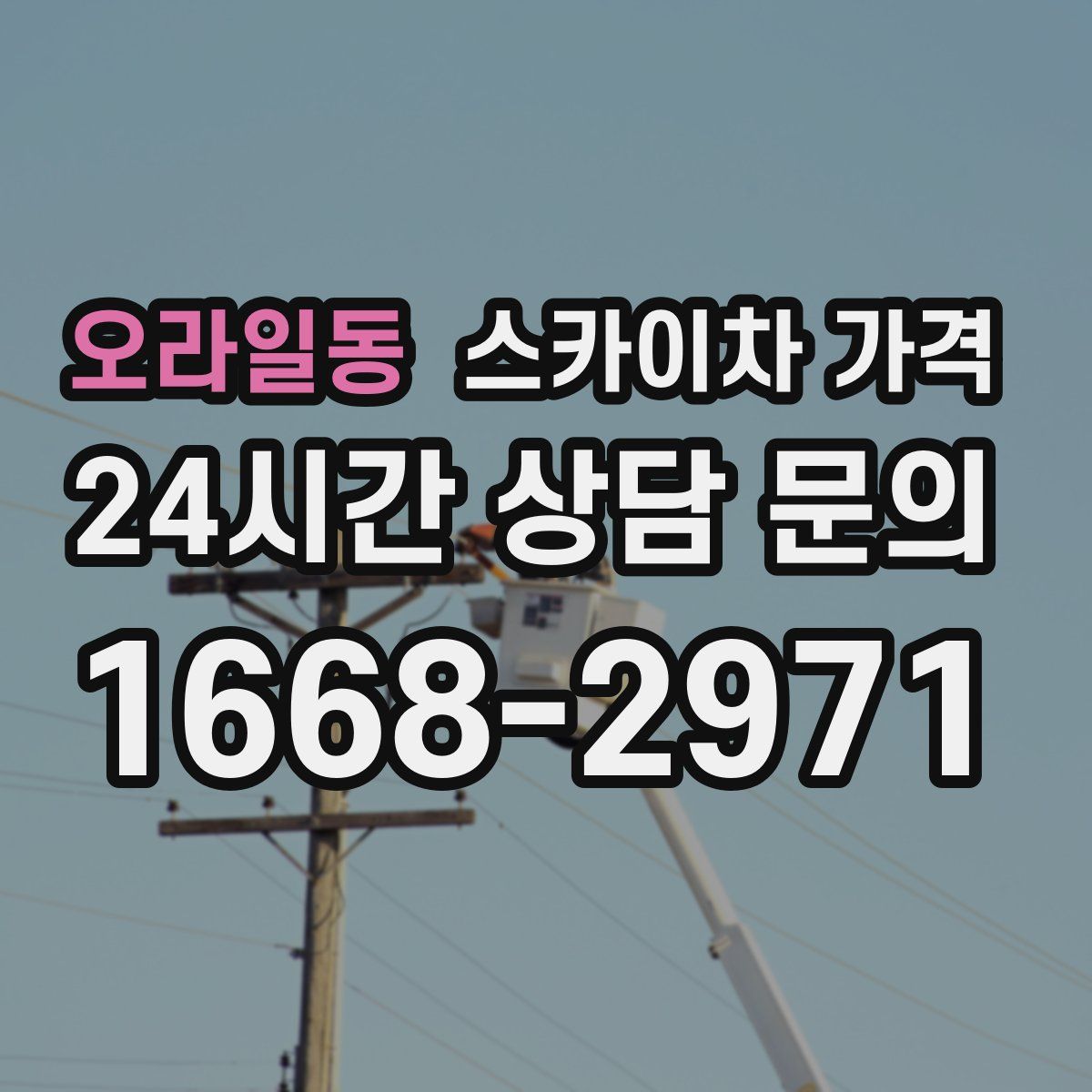 오라일동 스카이차 가격