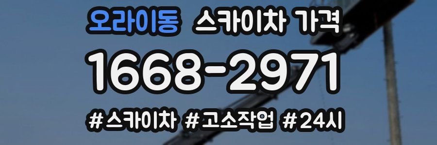 오라이동 스카이차 가격