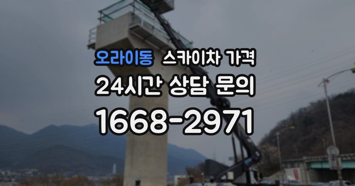 오라이동 스카이차 가격