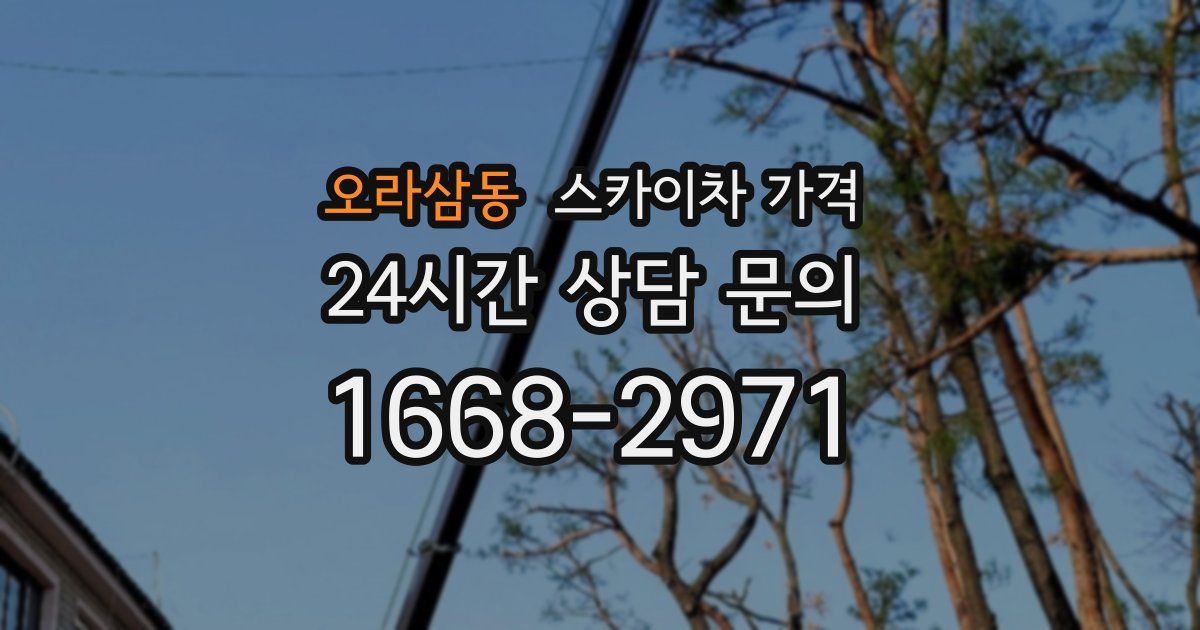 오라삼동 스카이차 가격