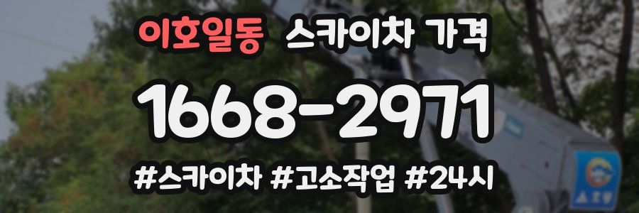 이호일동 스카이차 가격