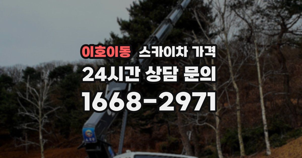 이호이동 스카이차 가격