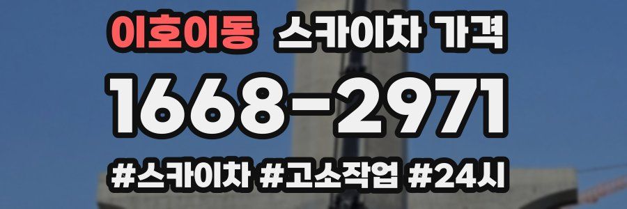 이호이동 스카이차 가격