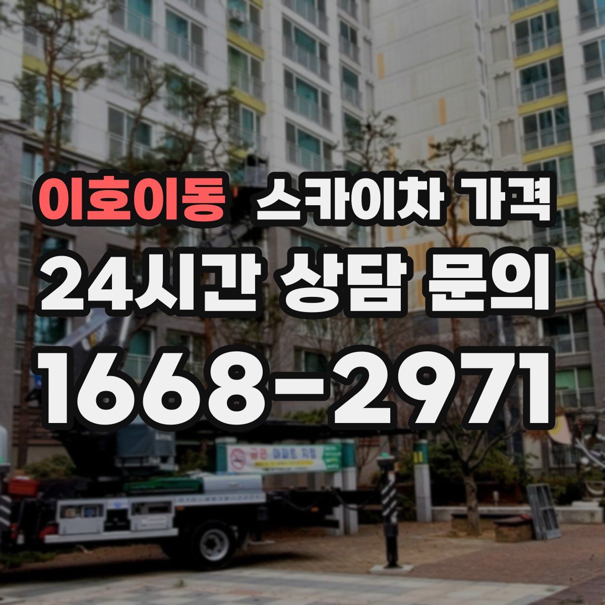 이호이동 스카이차 가격