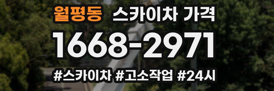 월평동 스카이차 가격