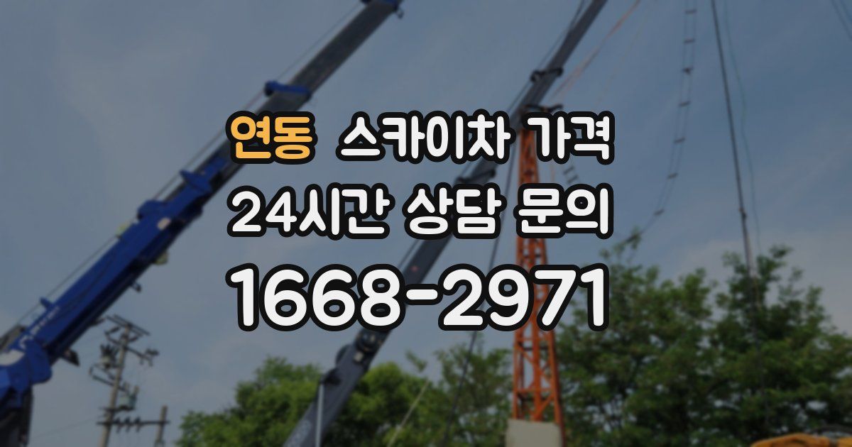 연동 스카이차 가격