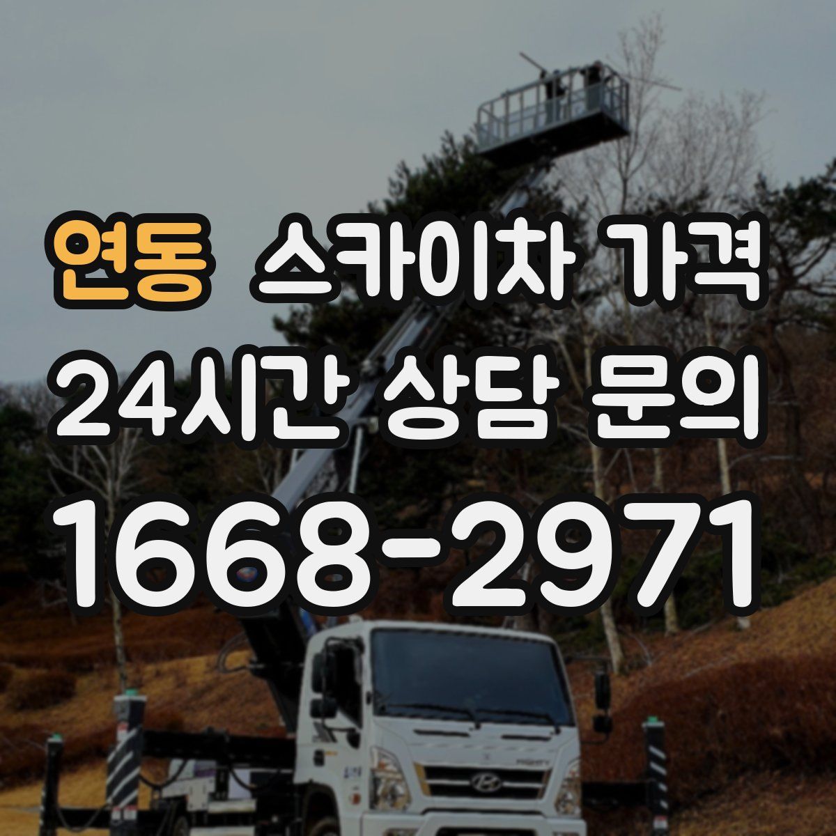 연동 스카이차 가격