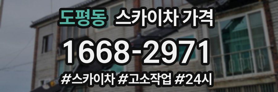 도평동 스카이차 가격