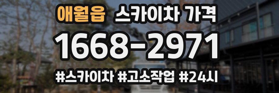 애월읍 스카이차 가격