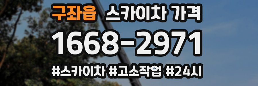 구좌읍 스카이차 가격