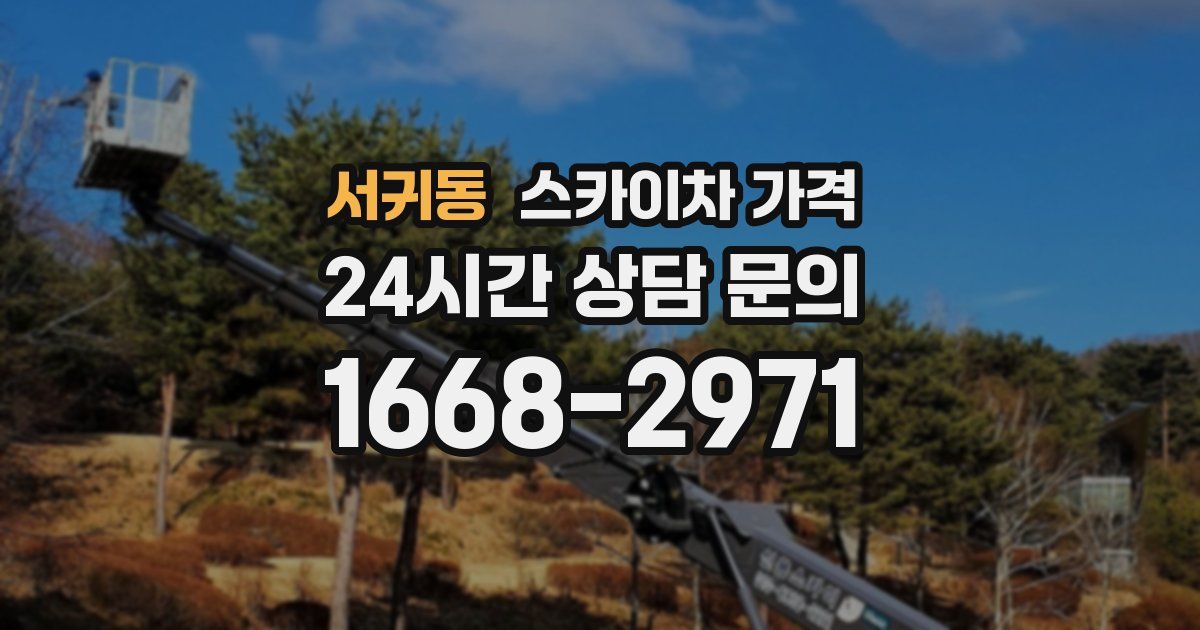 서귀동 스카이차 가격