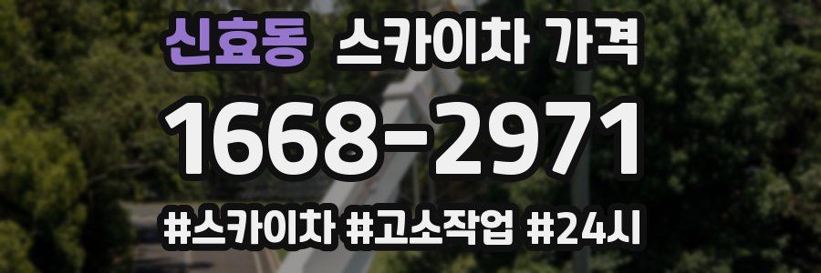 신효동 스카이차 가격