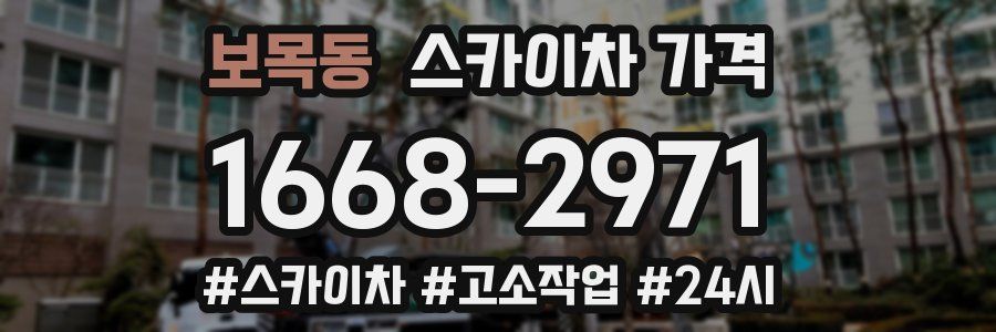 보목동 스카이차 가격