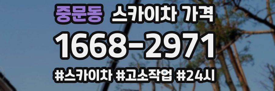중문동 스카이차 가격