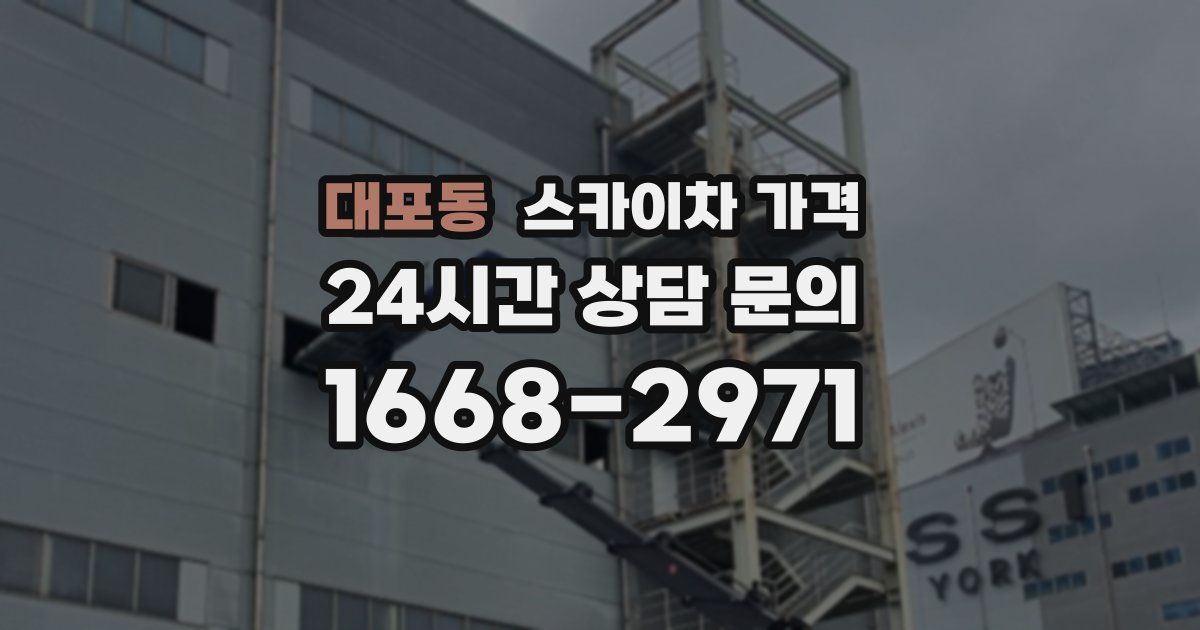 대포동 스카이차 가격