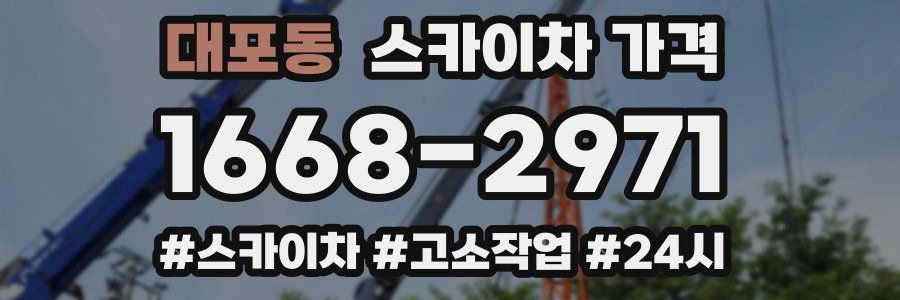 대포동 스카이차 가격