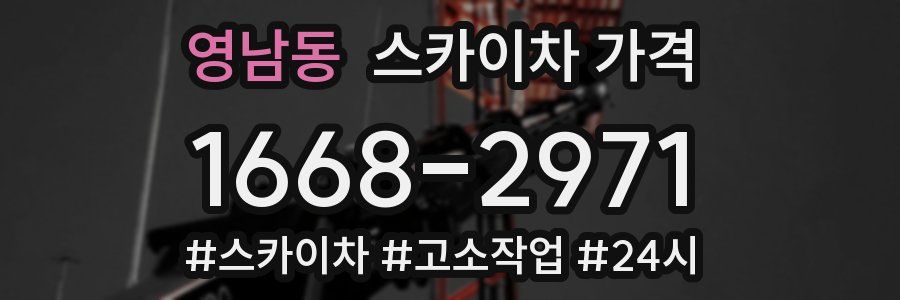 영남동 스카이차 가격