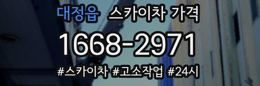 대정읍 스카이차 가격