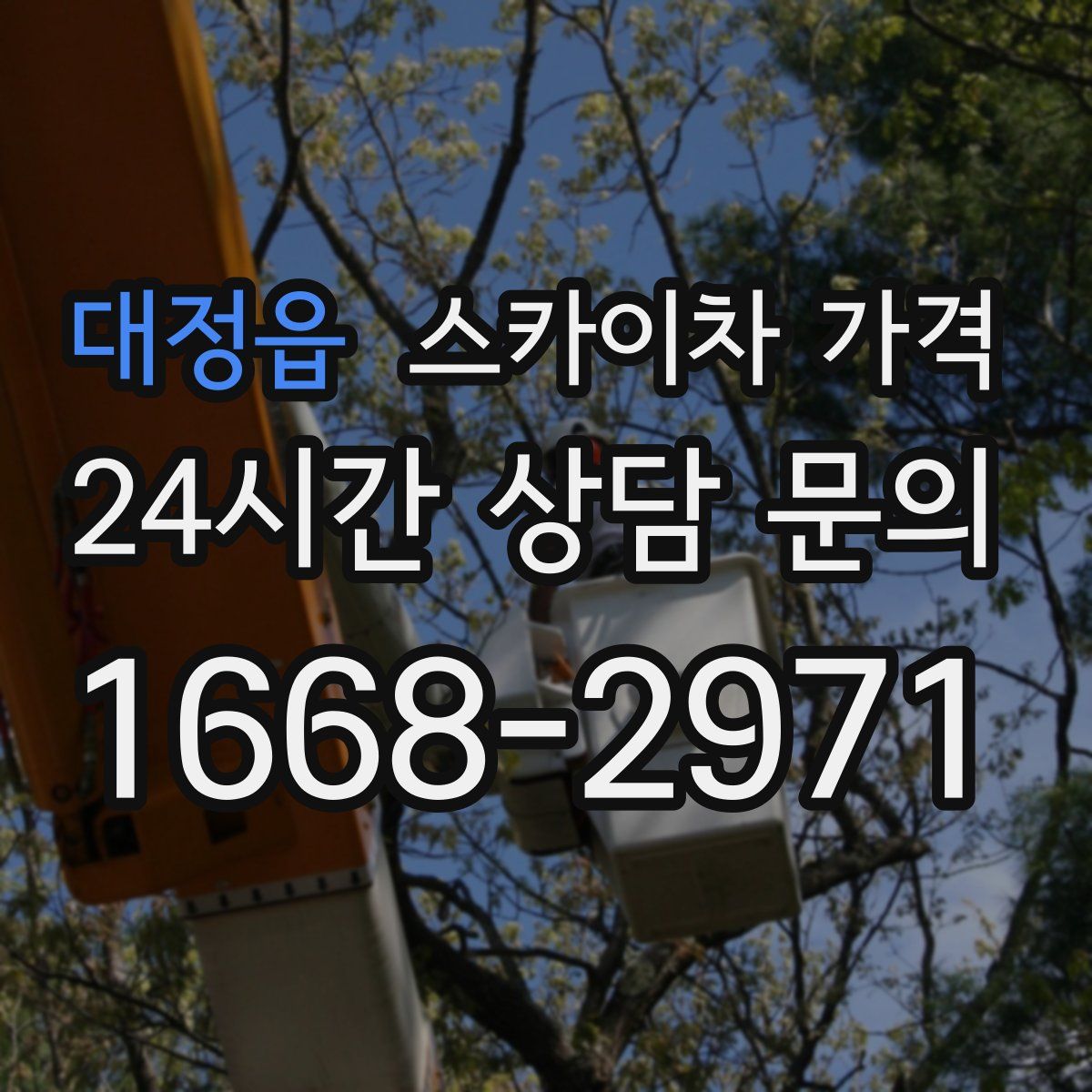 대정읍 스카이차 가격