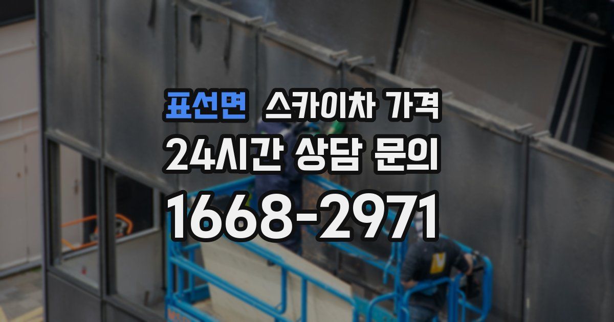 표선면 스카이차 가격