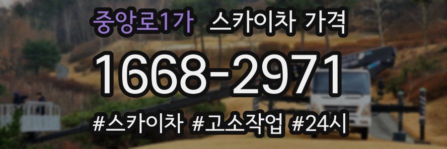 중앙로1가 스카이차 가격