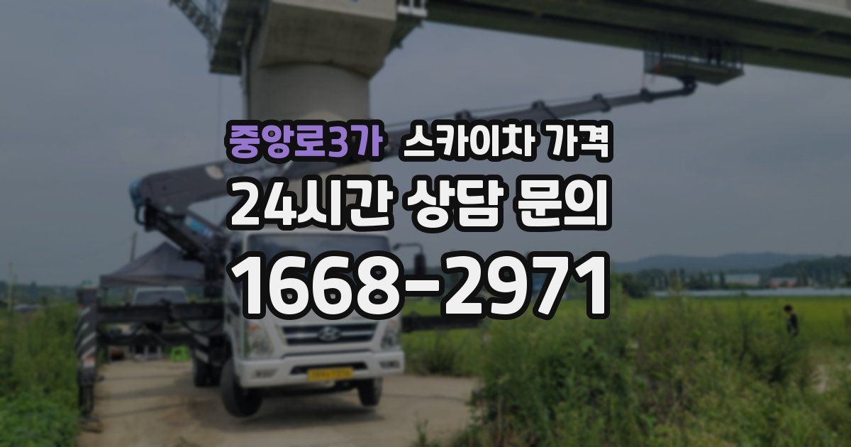 중앙로3가 스카이차 가격