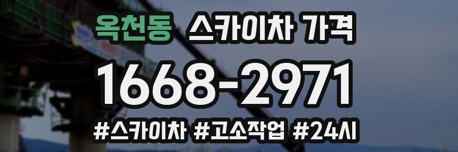 옥천동 스카이차 가격