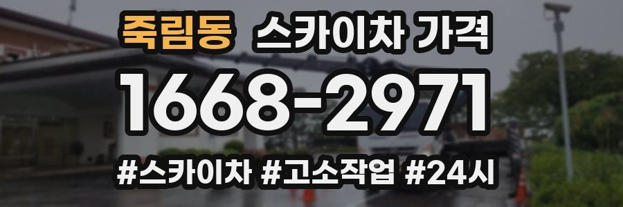 죽림동 스카이차 가격