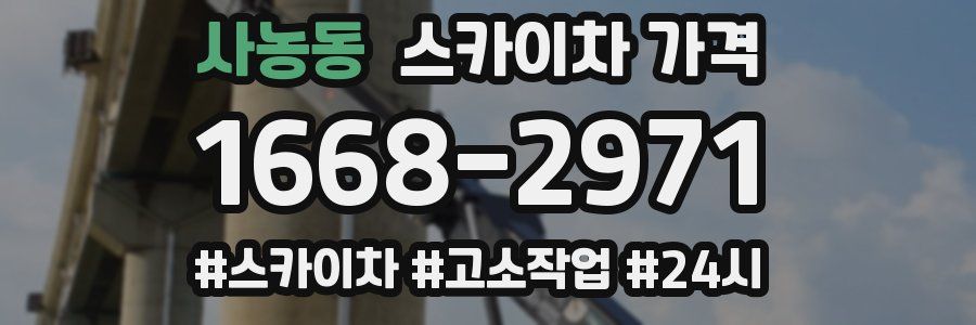 사농동 스카이차 가격