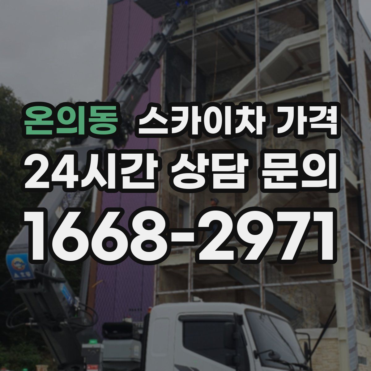 온의동 스카이차 가격