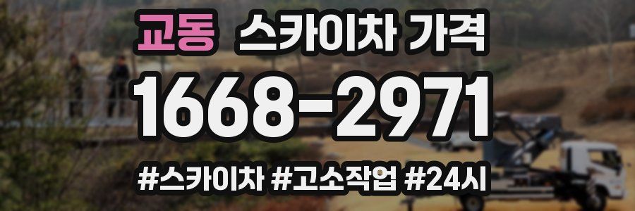 교동 스카이차 가격