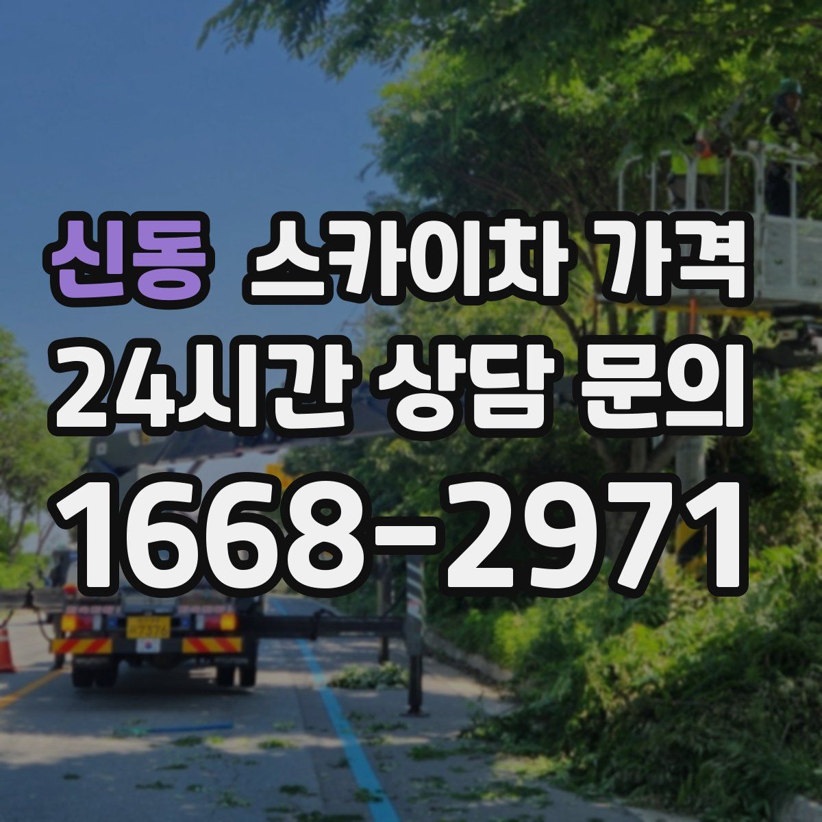 신동 스카이차 가격